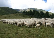 La Guida - Montagna, nuova forza per le terre alte con la legge regionale