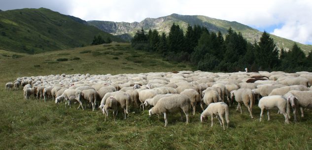 La Guida - Montagna, nuova forza per le terre alte con la legge regionale