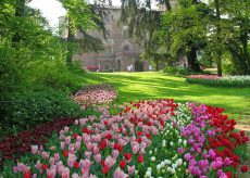 La Guida - Passeggiate virtuali tra i tulipani del Castello di Pralormo