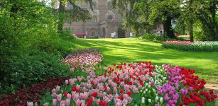 La Guida - Passeggiate virtuali tra i tulipani del Castello di Pralormo