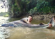 La Guida - Caragliese pesca un pesce da 90 kg in Amazzonia