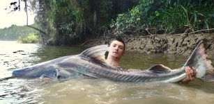 La Guida - Caragliese pesca un pesce da 90 kg in Amazzonia