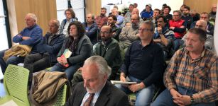La Guida - Avicoli e influenza aviaria, “meglio prevenire che risarcire”