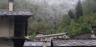 La Guida - I fiori sotto un manto bianco di neve