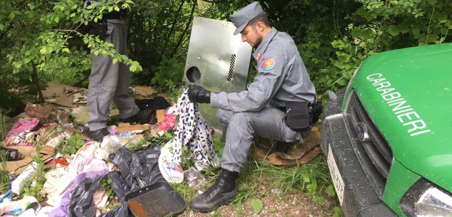 La Guida - Buttano rifiuti nel bosco dopo il trasloco, multati