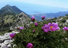 La Guida - Escursioni nelle valli Roya e Maira