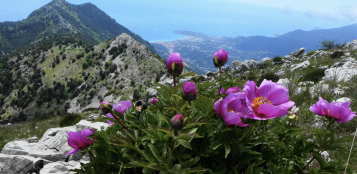 La Guida - Escursioni nelle valli Roya e Maira