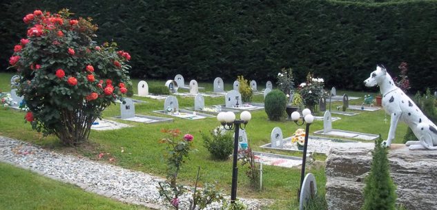 La Guida - Tomba di esseri umani nel cimitero degli animali?