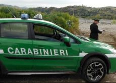 La Guida - Unità cinofila dei Carabinieri interviene a Robilante
