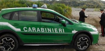 La Guida - Rubavano nelle isole ecologiche: sequestri e perquisizioni dei Carabinieri forestali