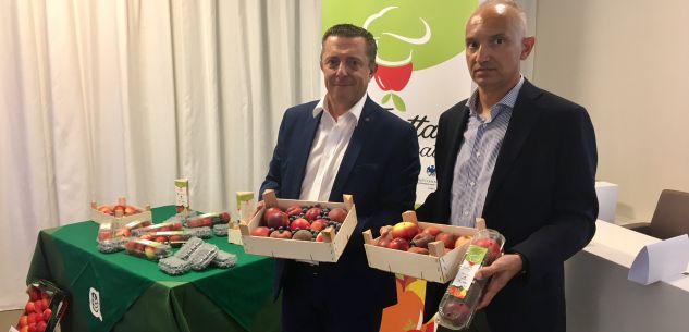 La Guida - Frutta fresca, alleanza produttori-ristoratori per il consumo