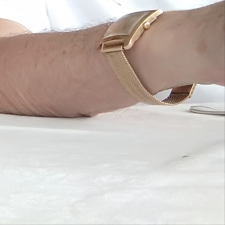 Orologio d'oro smarrito