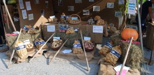 La Guida - A Entracque la Fiera delle patate