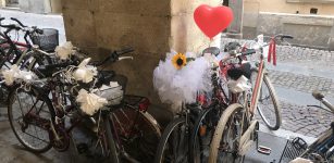 La Guida - Il matrimonio in bicicletta