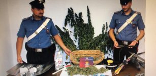 La Guida - Piante di cannabis, spada e altro in casa: arrestato 54enne