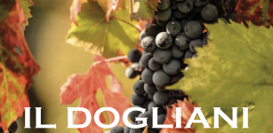 La Guida - Vino e territorio, da domenica si gusta “Autunno con il Dogliani”