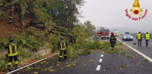 La Guida - Alberi caduti sulla Torino-Savona