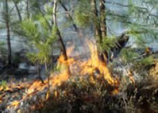 La Guida - La Regione dichiara lo stato di massima pericolosità per incendi boschivi