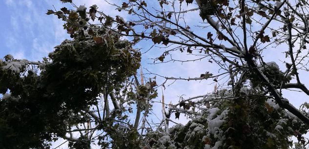 La Guida - Scuole aperte a Peveragno, chiuso un tratto della provinciale 5