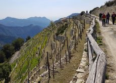 La Guida - Escursioni in valle Roya e nelle Langhe