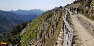 La Guida - Escursioni in valle Roya e nelle Langhe