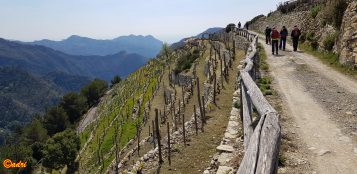 La Guida - Escursioni in valle Roya e nelle Langhe