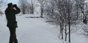 La Guida - Il Parco del Monviso cerca un guardiaparco, domande entro il 2 febbraio