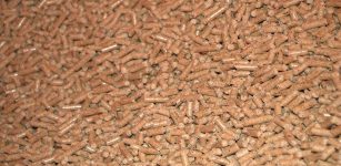 La Guida - Ma il costo del pellet è davvero diminuito?