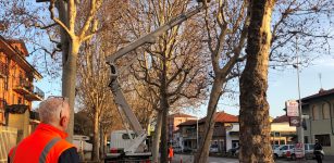 La Guida - Al via i lavori per la valorizzazione del viale alberato di Verzuolo