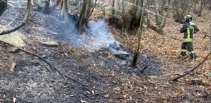 La Guida - Incendio boschivo a Envie, vigili del fuoco al lavoro