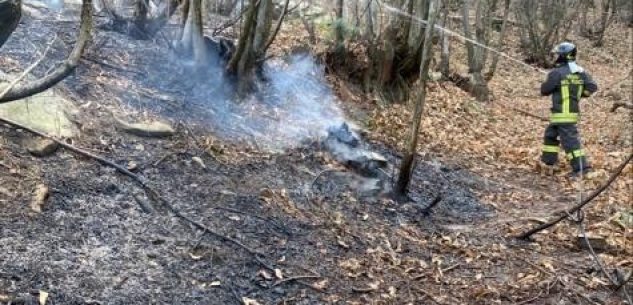 La Guida - Incendio boschivo a Envie, vigili del fuoco al lavoro