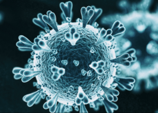 La Guida - Coronavirus, 50 positivi in Piemonte ma solo uno è confermato
