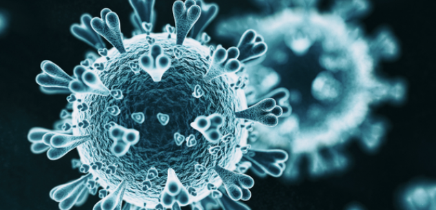 La Guida - Coronavirus, in provincia di Cuneo in totale 233 casi e 13 decessi