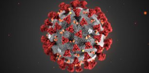 La Guida - Coronavirus, in Piemonte i decessi salgono a 12