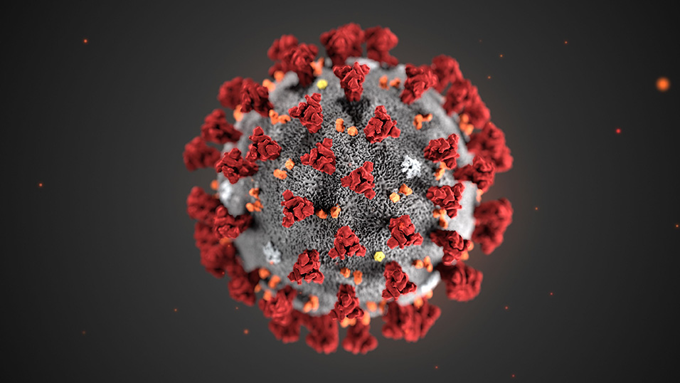 Salgono a otto i bovesani positivi al Coronavirus - La Guida - La ...
