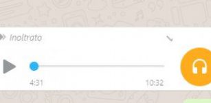 La Guida - Falsi messaggi audio di operatori sanitari su WhatsApp