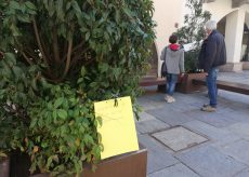 La Guida - Coronavirus, messaggi di speranza sul verde pubblico di via Roma a Cuneo per dire che tutto andrà bene