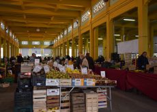 La Guida - Cuneo, confermato il mercato alimentare in piazza Seminario