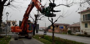 La Guida - Verzuolo, iniziati i lavori sul viale alberato
