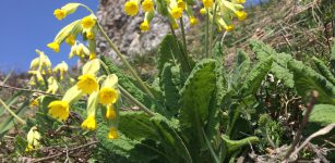 La Guida - Primi giorni di primavera, ma da domenica ritorna il freddo