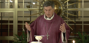 La Guida - Messa in streaming alle 11 celebrata dal Vescovo per Nostra Signora del Bosco