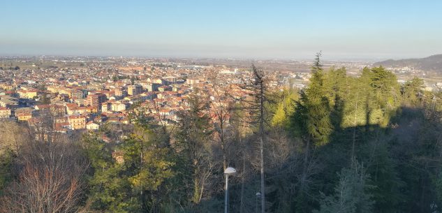 La Guida - Abbattimento alberi a Borgo San Dalmazzo