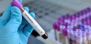 La Guida - Coronavirus: fermi i decessi, ma aumentano i ricoveri
