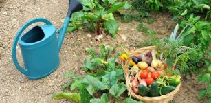 La Guida - Piemonte, sì alla cura di orti domestici anche se lontani da casa