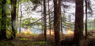 La Guida - Revocato dal 24 lo stato di massima pericolosità per gli incendi boschivi