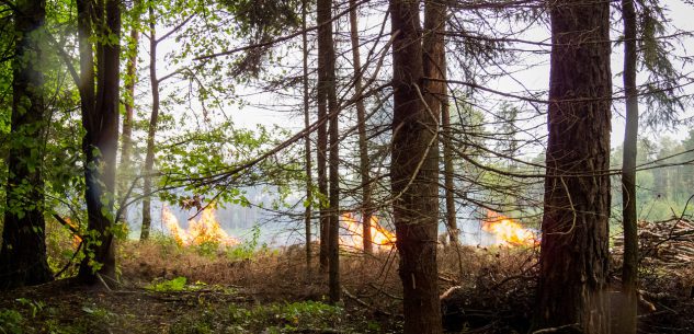 La Guida - Revocato lo stato di massima pericolosità per gli incendi boschivi