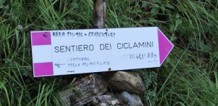 La Guida - “Sentiero dei ciclamini” a senso unico