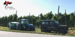 Farigliano, scoperto un utilizzo improprio di prodotti fitosanitari La Guida - Farigliano, scoperto un utilizzo improprio di prodotti fitosanitari