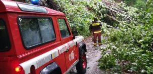 La Guida - Maltempo, alberi e frane sulla provinciale 27 tra Barge e Paesana