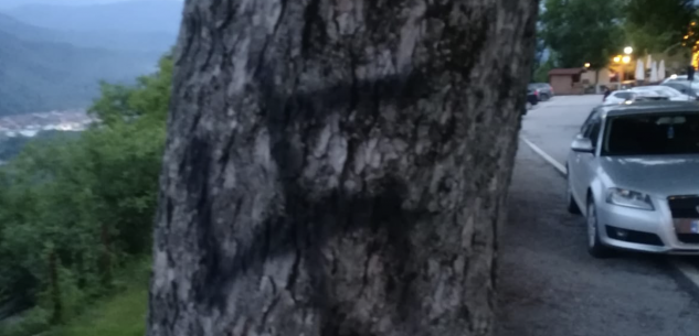 La Guida - Svastiche a Monserrato disegnate sul tronco di un albero
